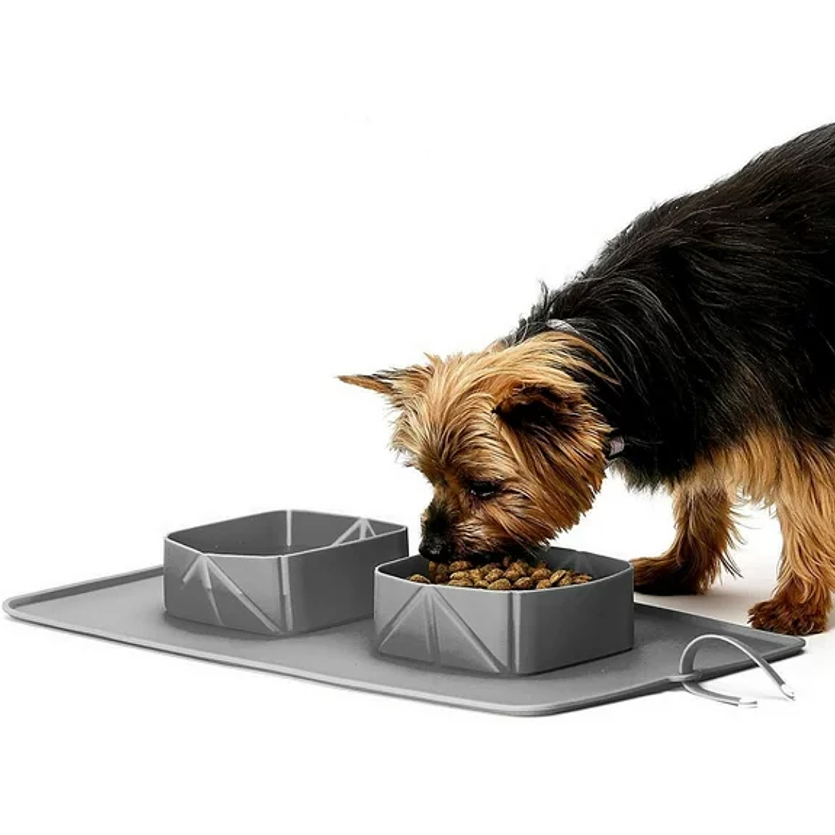 Alimentador portátil para Mascotas Plegable