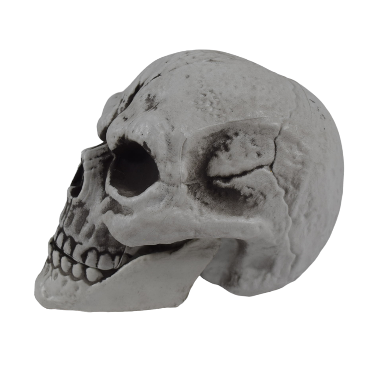 Decoración Hallowen Cráneo Grande