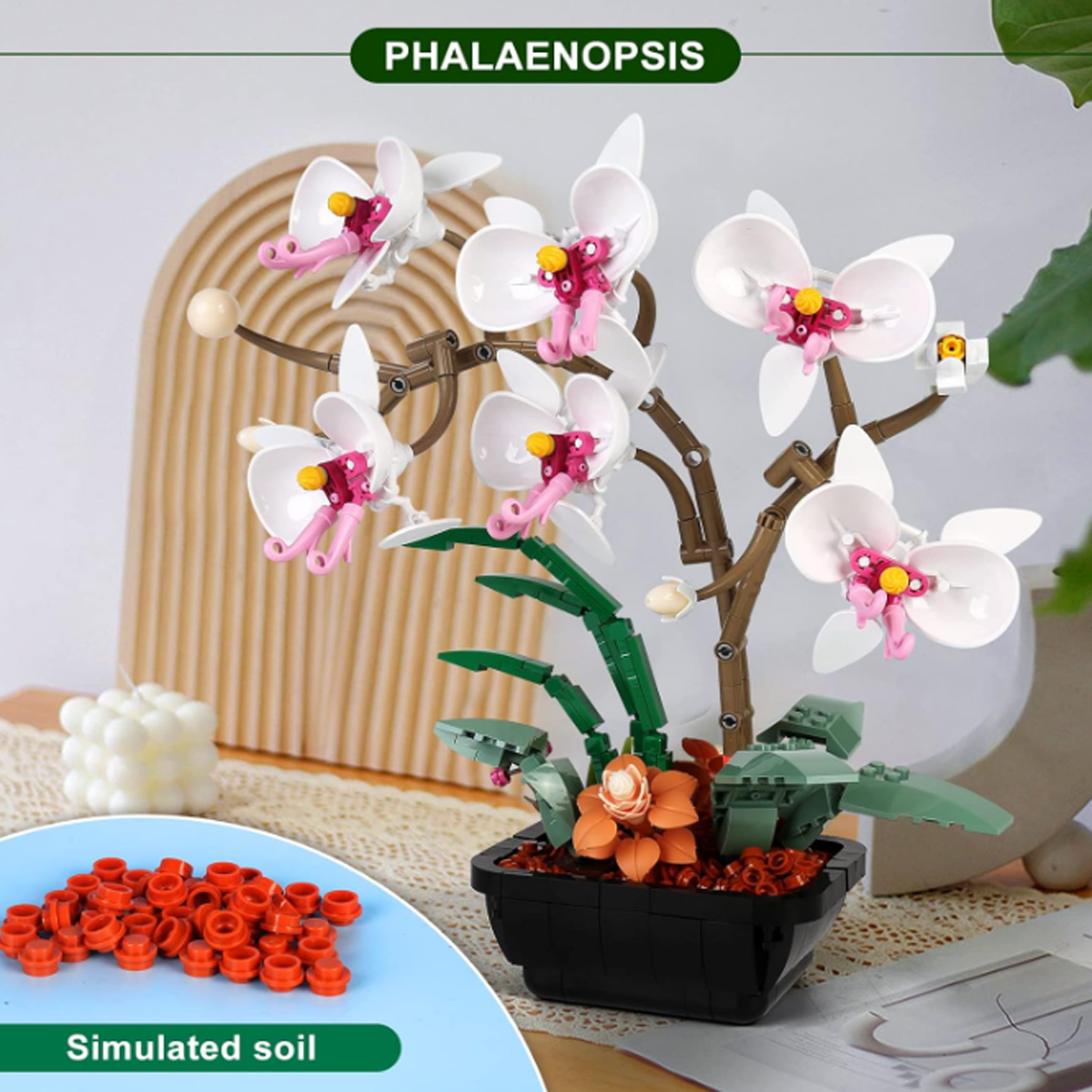 Bloques de Construcción Planta Phalaenopsis